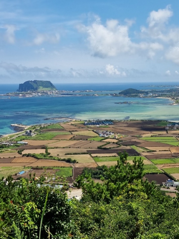The Radiant Grasslands of Jeju’s Eastern Oreum and the Emerald Sea of Udo Island